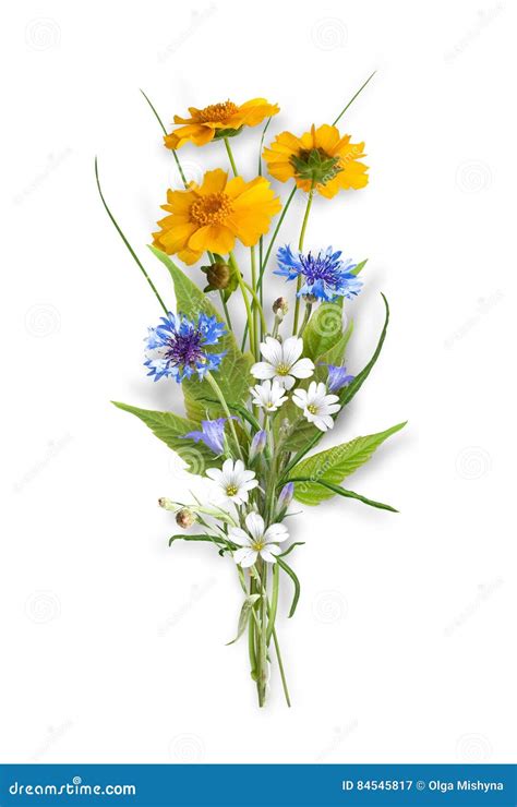 Ramalhete Das Flores Selvagens Do Campo Imagem De Stock Imagem De