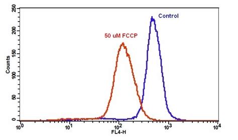 Cell Meter 线粒体膜电位近红外检测试剂盒报价价格性能参数图 Aat Bioquest生物器材网