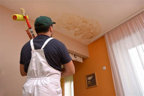 Braune Flecken an der Wand entfernen Ursachen Lösungen