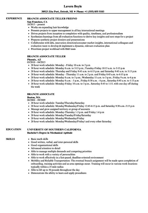 Branch Associate Resume Samples Velvet Jobs