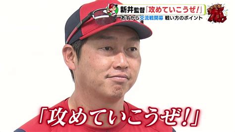 広島カープ 新井貴浩監督「攻めていこうぜ！」 あすからセ･パ交流戦 開幕 戦い方のポイント Tbs News Dig