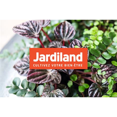 E Carte Cadeau Jardiland