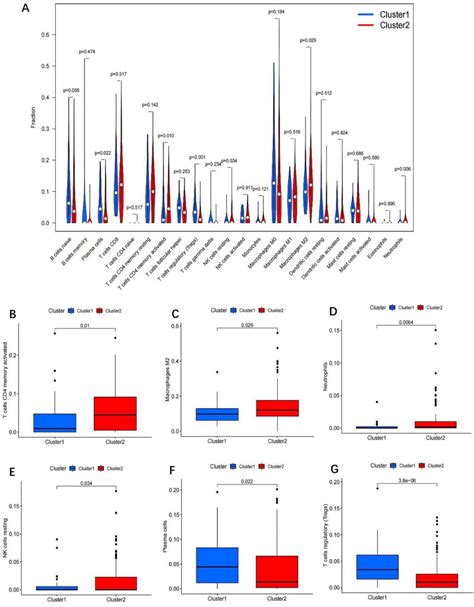 Different Analysis Of Immune Cell Infiltration In Different Cluster