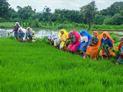 Monsoon Ends With ‘normal Rainfall As Positive Factors Countered El