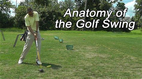 Best Exercise For Golf Swing Power Exercise