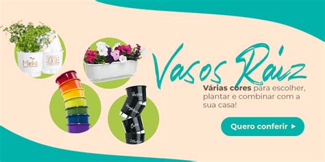 Como plantar íris Veja dicas de solo regas e propagação