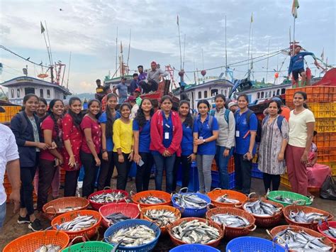 Visit To Fish Landing Centre St Agnes College Autonomous Mangaluru