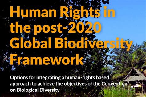 Human Rights In The Post 2020 Global Biodiversity Framework Options