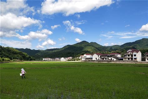 栽好梧桐树 自有凤凰来——石台县矶滩乡高乐村力推美丽乡村建设 助力乡村振兴安徽频道凤凰网