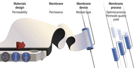 Maximizing The Right Stuff The Trade Off Between Membrane Permeability