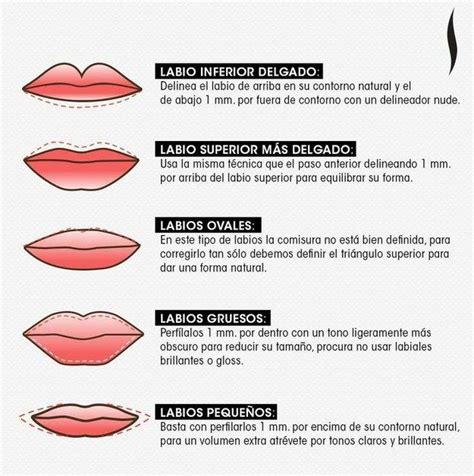 Labios Tipos Thetanmapa