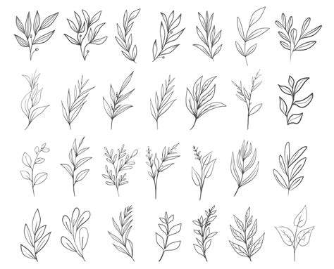 Hand drawn floral herbs set elements 26275975 Vector Art at Vecteezy