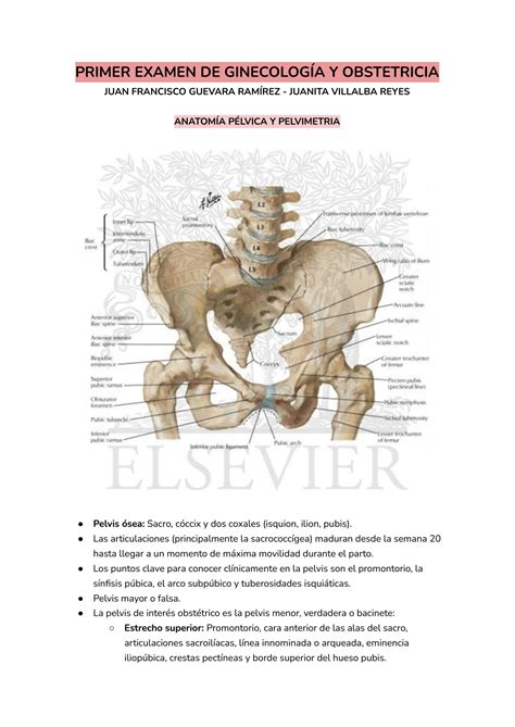 Solution Compendio Resumen De Ginecolog A Y Obstetricia Studypool