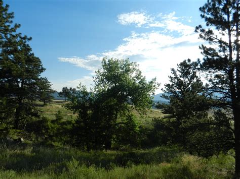 Bobcat Ridge Natural Area All You Need To Know Before You Go 2025