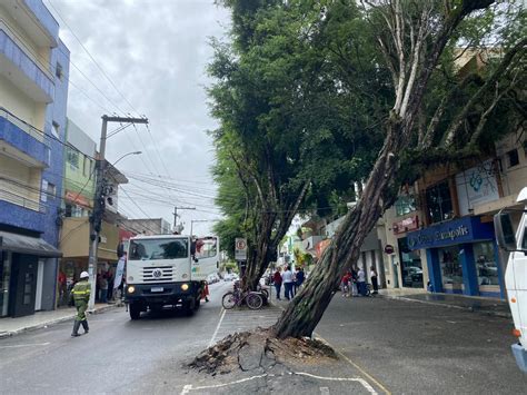 Rvore Melhor Prevenir Do Que Remediar Poder