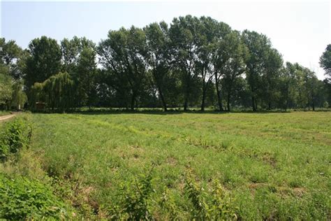 Parco Agricolo Ticinello