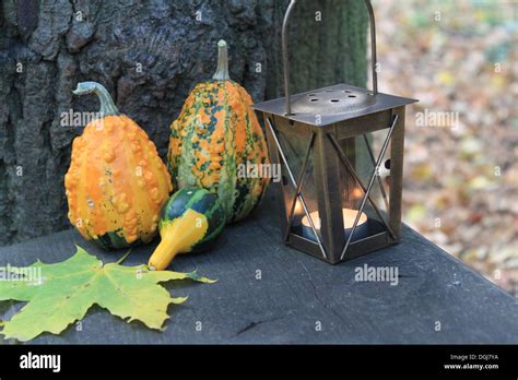 Mini Wood Basket High Resolution Stock Photography And Images Alamy