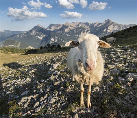 Jorge Ruiz Del Olmo Obtiene El Primer Premio Del Concurso Fotográfico Convocado Por El Colegio