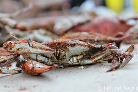 Jax and Jewels: Crab Feast: A Maryland Tradition