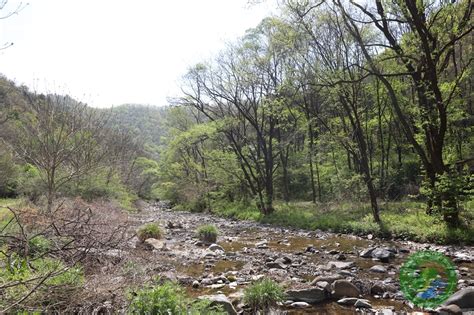 甘肃麦草沟省级自然保护区管护中心简介 直属单位 甘肃省小陇山林业保护中心官方网站