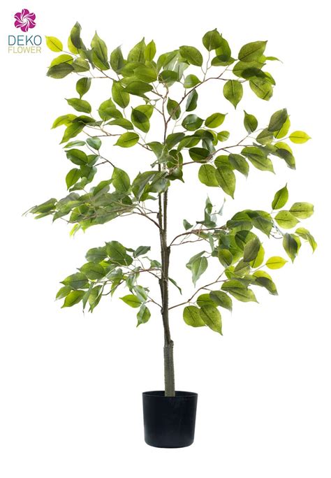 K Nstlicher Ficus Baum Getopft Cm