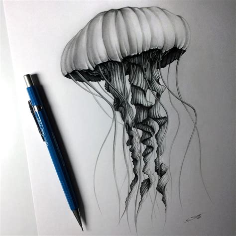 Jellyfish Drawing By LethalChris On DeviantArt