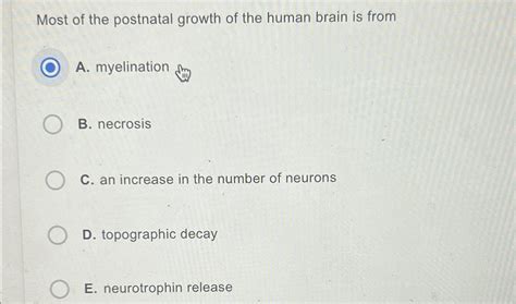 Solved Most Of The Postnatal Growth Of The Human Brain Is Chegg