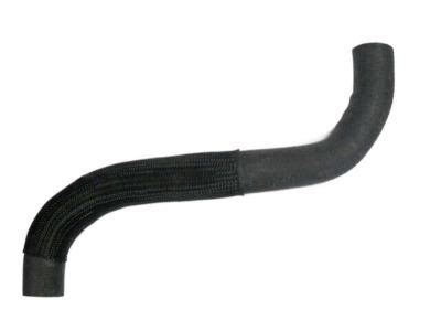 Genuine Nissan Maxima Radiator Hose