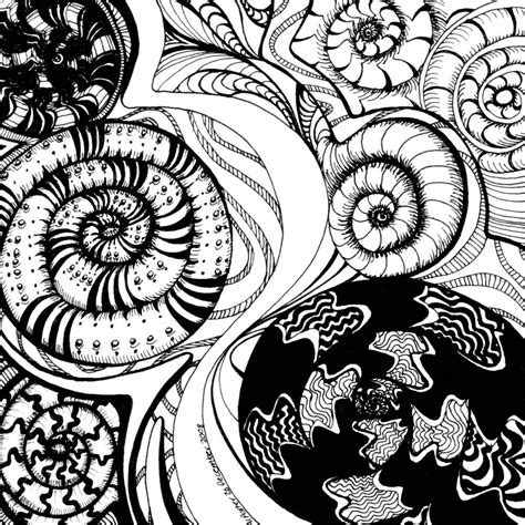 Spiral Shells1 By Artwyrd On Deviantart