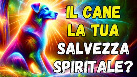 La Saggezza Nascosta Nel Legame Con Il Tuo Cane Spiritualit Youtube