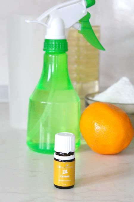 Homemade lemon disinfectant for home - Craftfoxes