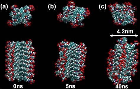 Molecular Dynamics Simulations For The Self Assembly Of Fmoc Ffd Into