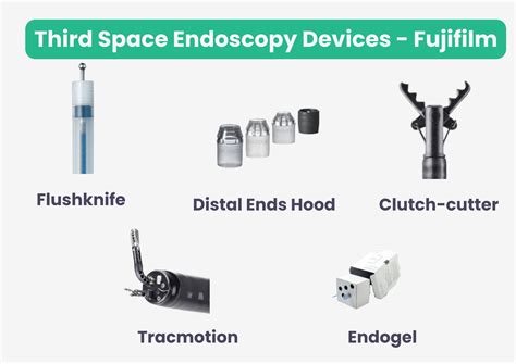 Fujifilm Endoscopy Pioneering Modern Endoscopy Imaging