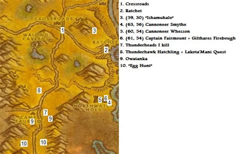 The Barrens Leveling Guide 20 21