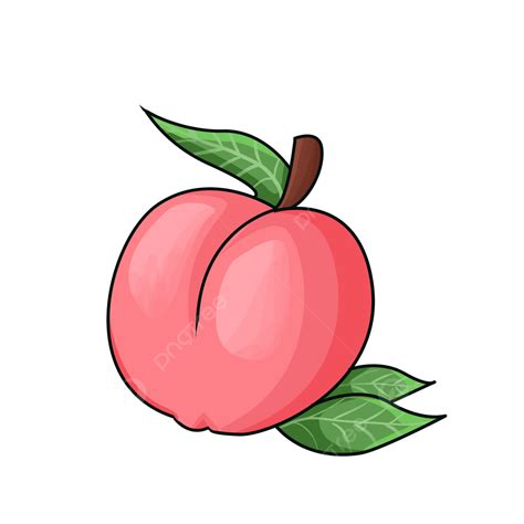 Peach Clip Art