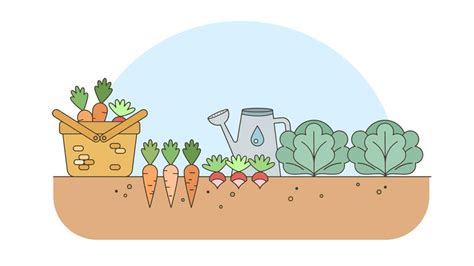 Vegetables Garden Vector 268205 Vector Art at Vecteezy