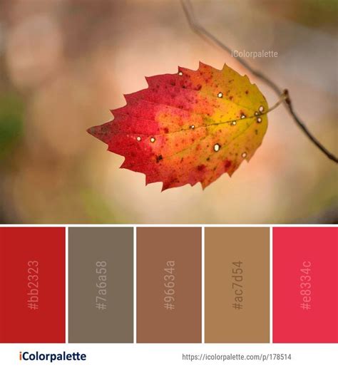 Color Palette Ideas From Autumn Images Icolorpalette Fall Color