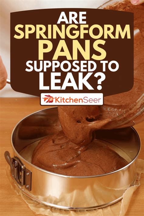 Are Springform Pans Supposed To Leak Kitchen Seer