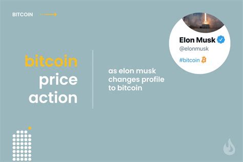 Bitcoin Skyrockets as Elon Musk Changes Twitter Bio to Bitcoin - DailyCoin