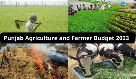 Punjab Agriculture And Farmer Budget 2023 ਪੰਜਾਬ ਸਰਕਾਰ ਦਾ ਕਿਸਾਨਾਂ ਲਈ