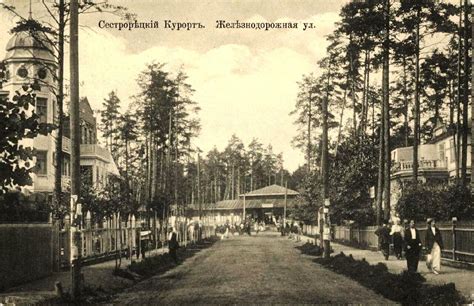Сестрорецк. Часть 2: humus — LiveJournal