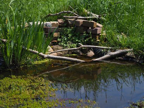 aanleggen poel de natuur van hier