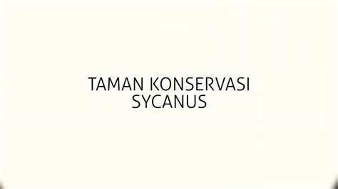 Konservasi Taman Sycanus Dan Penambahan Populasi Sycanus Ke Perkebunan