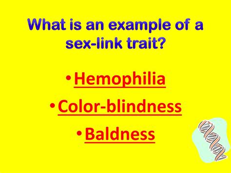 Ppt Patterns Of Heredity Review Powerpoint Presentation Free Download Id1985601