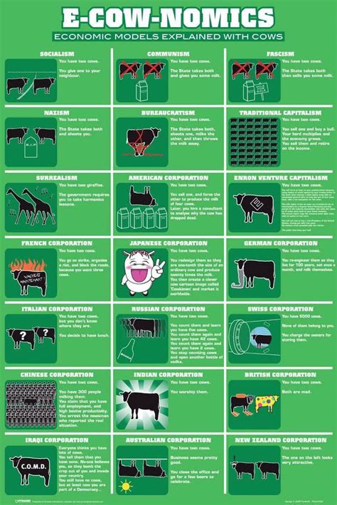 Economic Systems Explained By Cows : r/coolguides