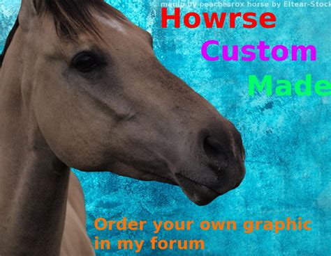 Howrse Custom Made By Peachesrox On Deviantart