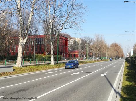 Milano Bicocca Rinnovo Per Viale Fulvio Testi Febbraio