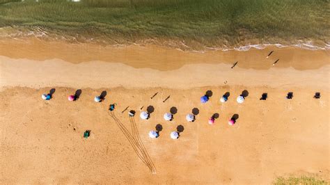 People Having Fun on the Beach · Free Stock Photo