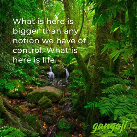 What Is Here Is Bigger Than Any Notion We Have Of Contr Gangaji