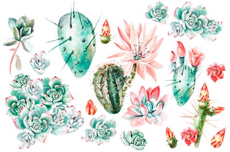 Watercolor Succulents And Cactuses On Yellow Images Creative Store